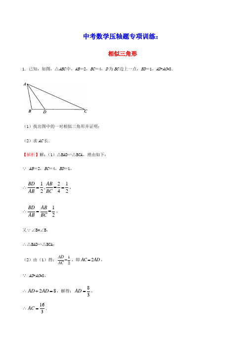 中考数学压轴题专项训练14相似三角形含解析