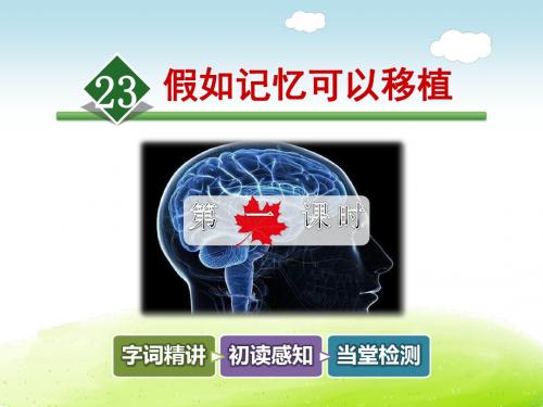 假如记忆可以移植PPT课件