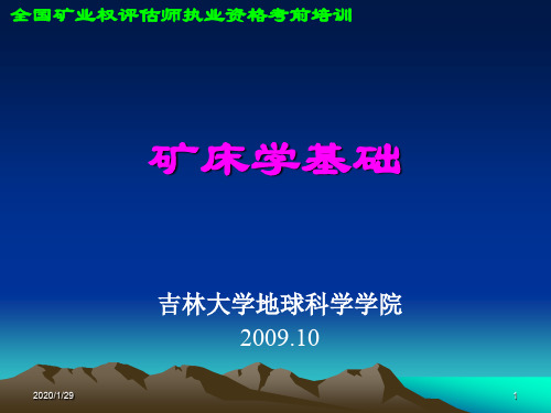 矿床学基础.ppt