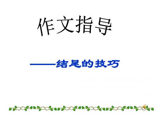 2013年中考语文17套考点复习(13)优秀PPT教学课件