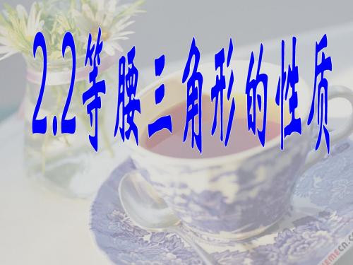 2.2等腰三角形的性质