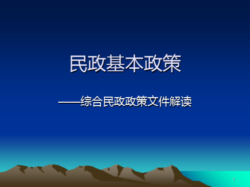 民政基本政策PPT课件