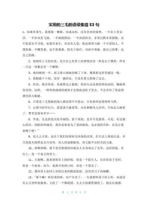 实用的三毛的语录集锦53句