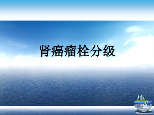 肾癌瘤栓分级演示文稿