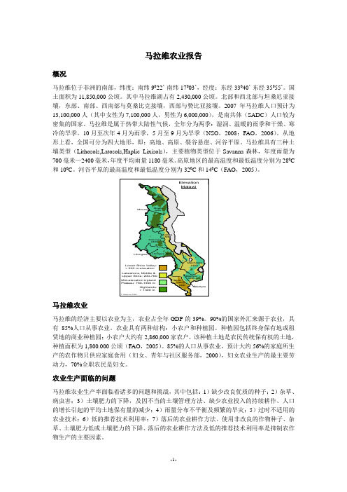 马拉维农业报告