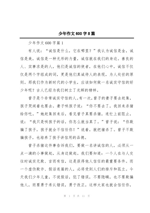 少年作文600字8篇