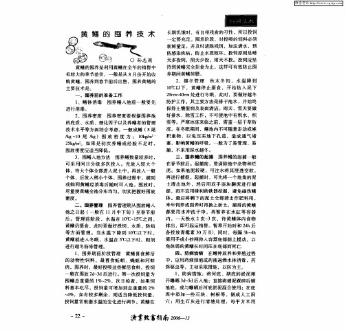 黄鳝的囤养技术