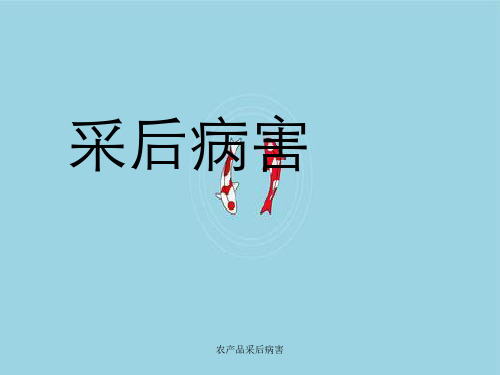 农产品采后病害