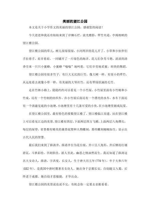 美丽的望江公园_小学作文