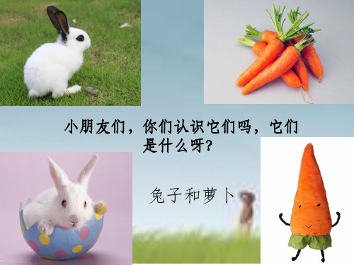 《大萝卜》(幼儿园小班下学期)