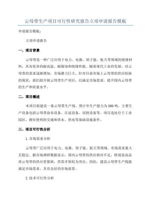 云母带生产项目可行性研究报告立项申请报告模板