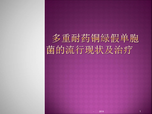 铜绿假单胞菌感染的流行趋势及治疗进展ppt课件