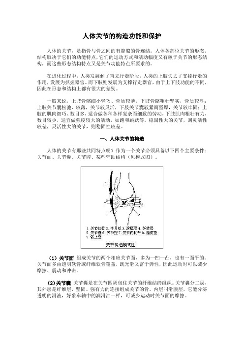 人体关节的构造功能和保护(精)