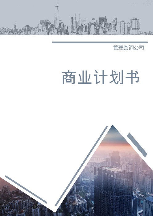 管理咨询有限公司商业计划书