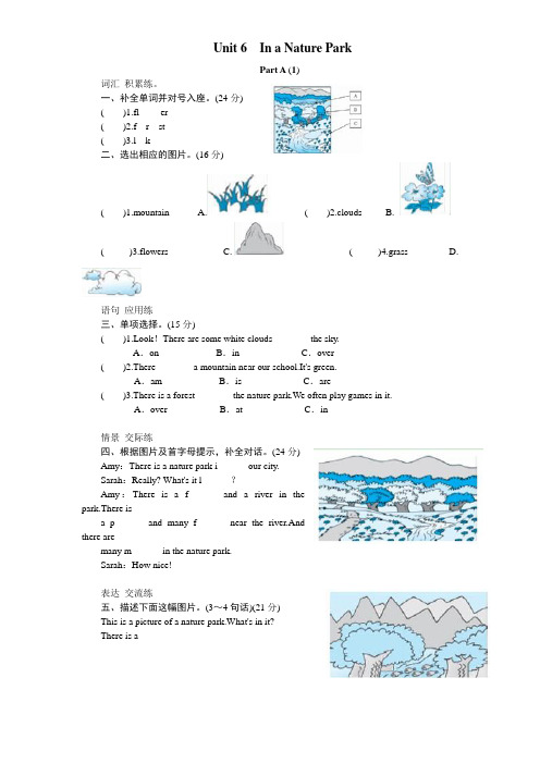 课时测评-英语人教PEP5年上 unit6 In a nature park-PartA试题及答案 (1)