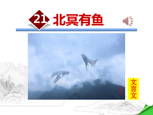 《北冥有鱼》优秀PPT