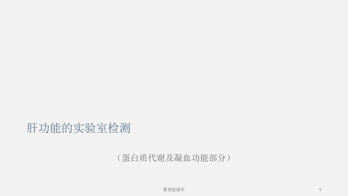 肝功能的实验室检测PPT课件
