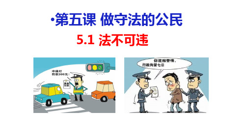 人教版道德与法治八年级上册法不可违