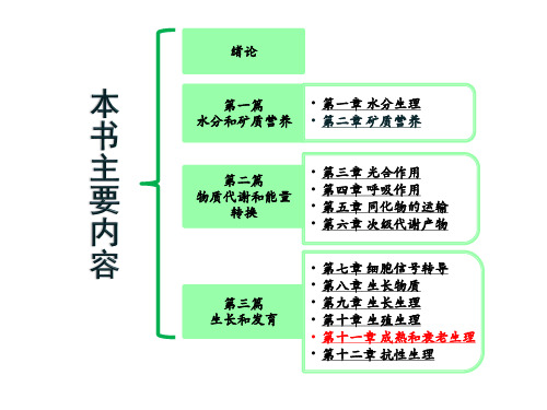 植物生理学课件第十一章 植物的成熟和衰老生理