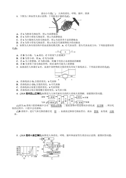 滚动小专题(二) 人体的消化、呼吸、循环、排泄-2020年中考 生物(云南专版)  教材考点梳理