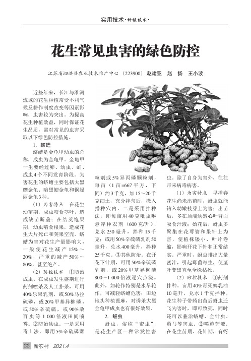 花生常见虫害的绿色防控