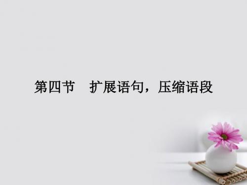 新课标2018届高考第一轮总复习扩展语句压缩语段课件(语文)
