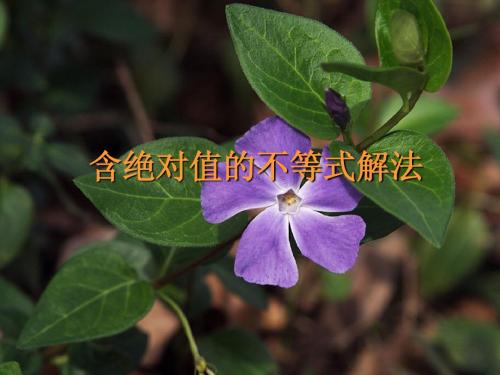 含绝对值的不等式解法