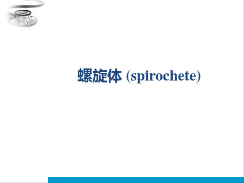医学微生物学之螺旋体