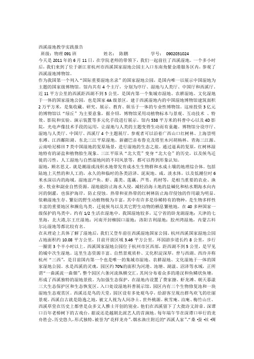 西溪湿地教学实践报告