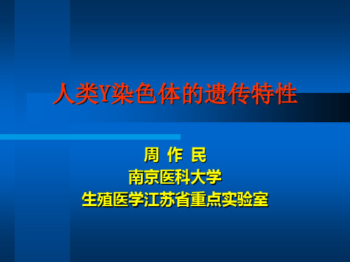 人类Y染色体的遗传特性(精)