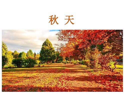 秋天  课件(含媒体素材) (24张ppt)