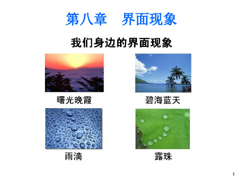 第八章界面现象-1