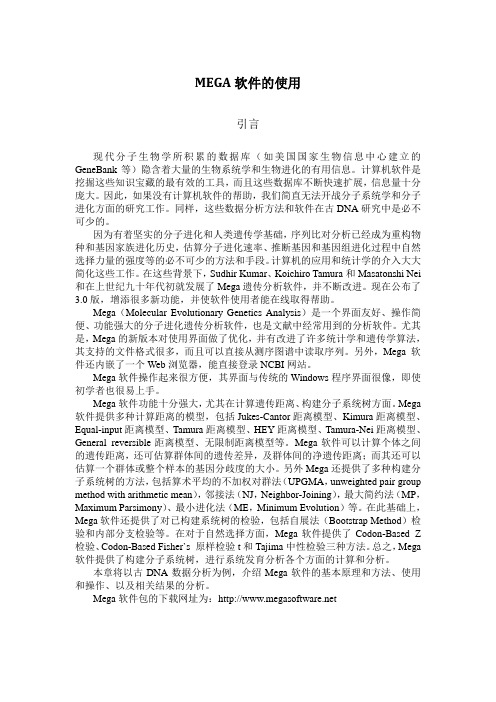 Mega软件的使用