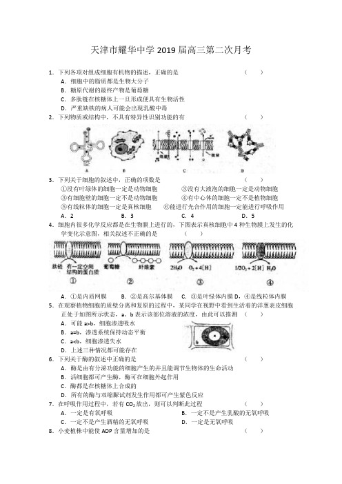 天津市耀华中学2019届高三第二次月考 生物