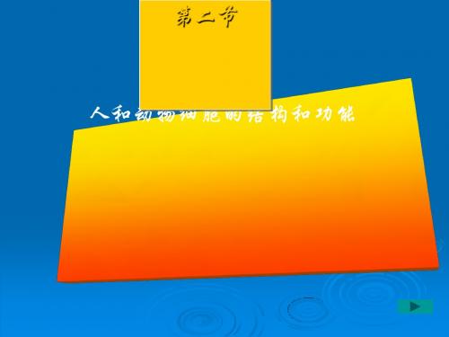 【初中生物】人和动物细胞的结构和功能ppt1