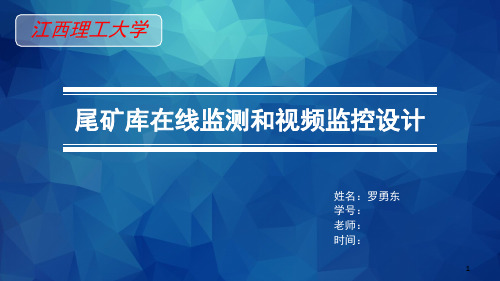 尾矿库在线监测和视频监控设计-文档资料