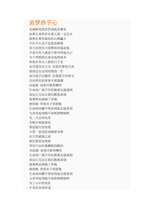 追梦赤子心(歌词)
