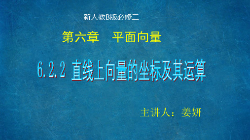 直线上向量的坐标及其运算