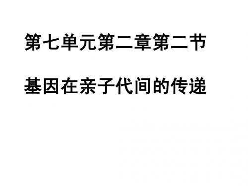 八年级生物七单元第二章第二节基因在亲子代间的传递