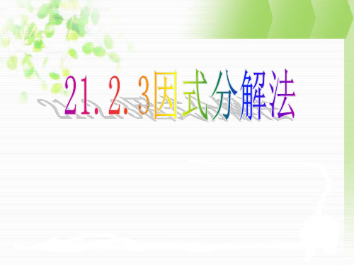 《21.2.3因式分解法》HAOppt课件
