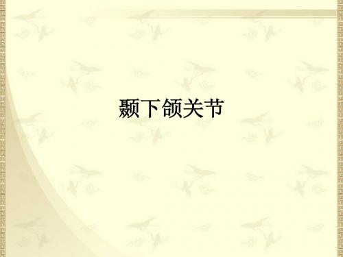 11、颞下颌关节