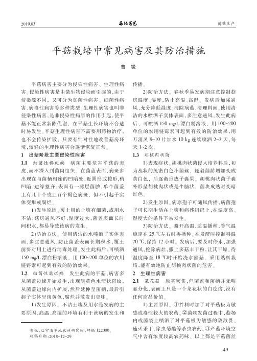 平菇栽培中常见病害及其防治措施