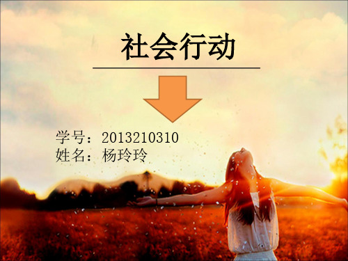 社会行动模式