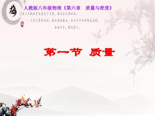 人教版八年级物理 第六章 质量和密度 第一节 质量 课件(共21张PPt)