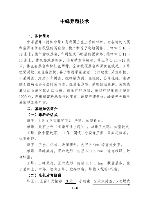 中蜂养殖技术