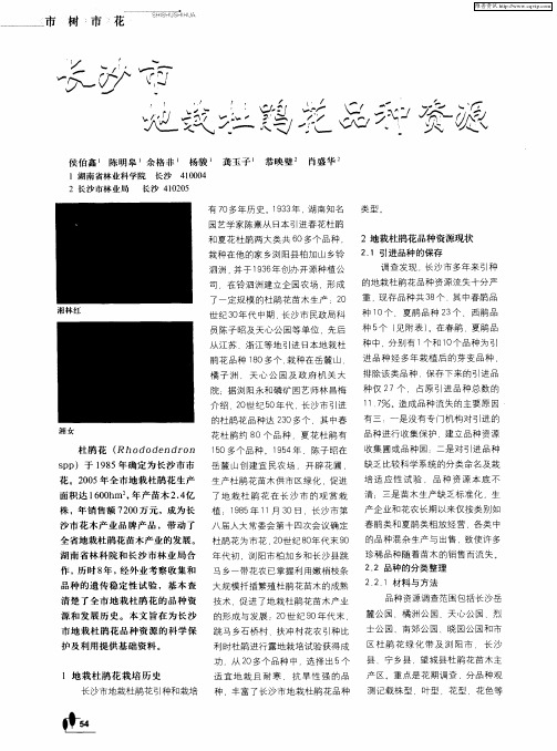 长沙市地栽杜鹃花品种资源