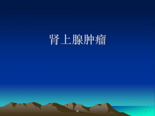 肾上腺常见肿瘤学习资料