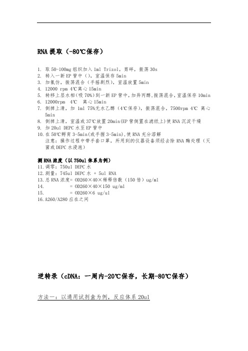 RT-PCR步骤