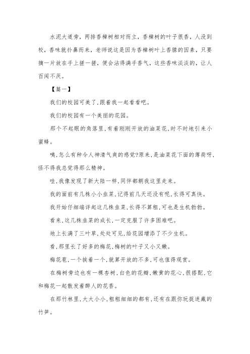 五年级作文美丽的校园【五篇】