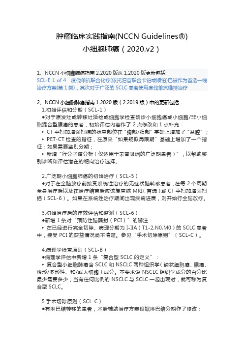 NCCN 2020.02 小细胞肺癌(中文)